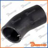 Gaine de suralimentation pour CITROEN | GPP-CT-038, 14796